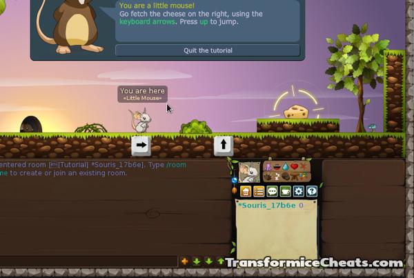 How To Get Free Cheese On Transformice Hack Free Download Programs
